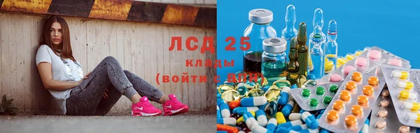 спайс Богданович