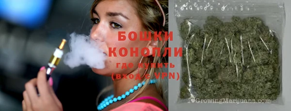 спайс Богданович