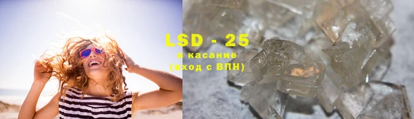 спайс Богданович