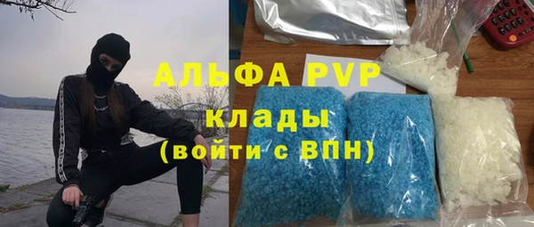 стафф Богородицк