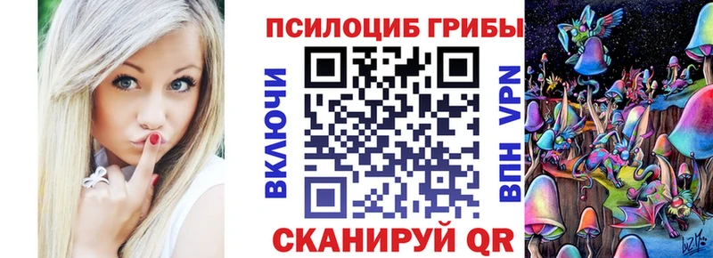закладка  Фёдоровский  дарк нет официальный сайт  Псилоцибиновые грибы мицелий 